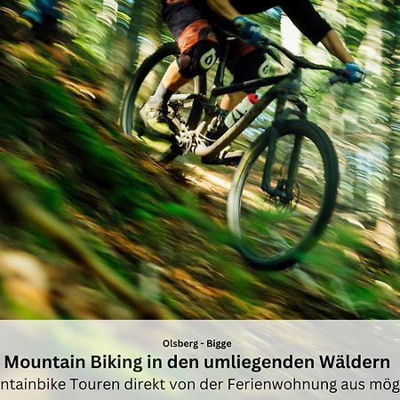 Ferienwohnungen Sauerland Und Olsberg Esterno foto