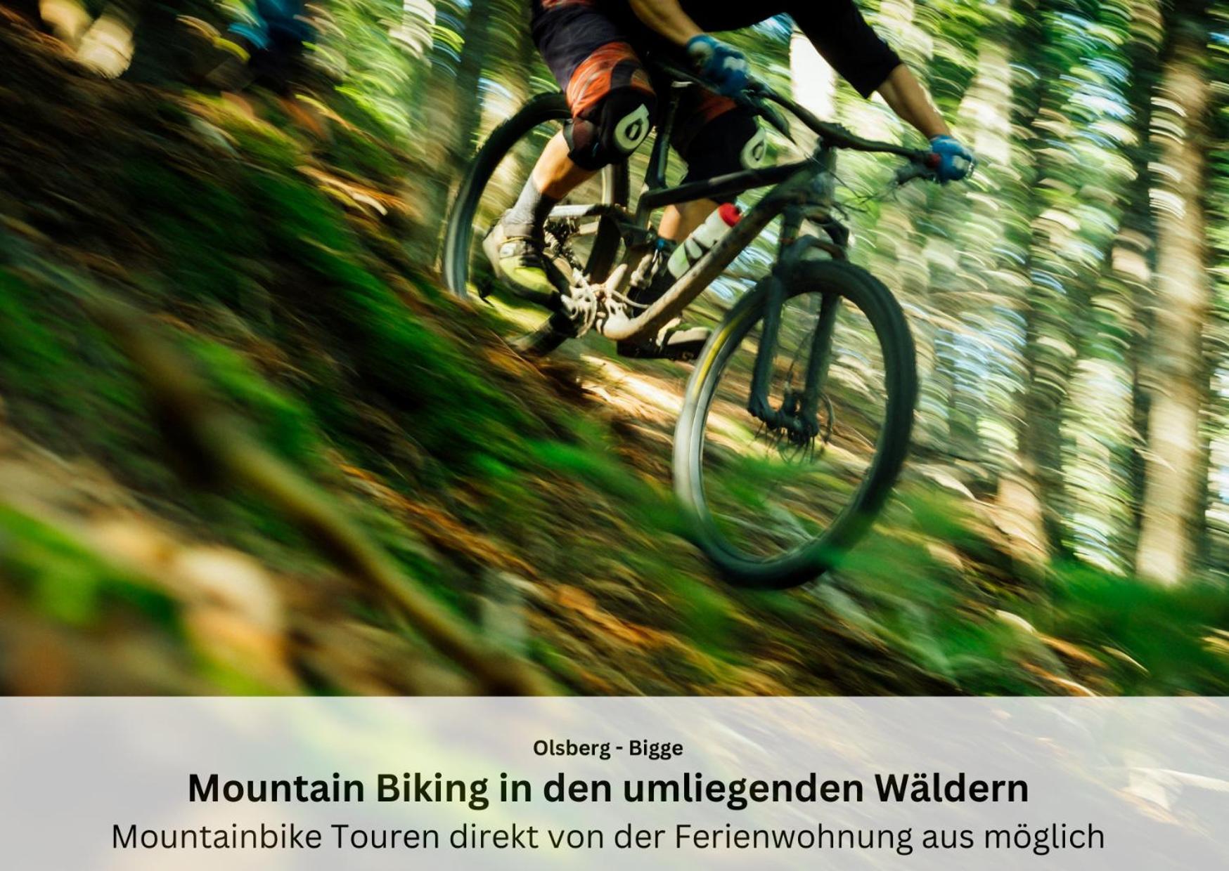 Ferienwohnungen Sauerland Und Olsberg Esterno foto