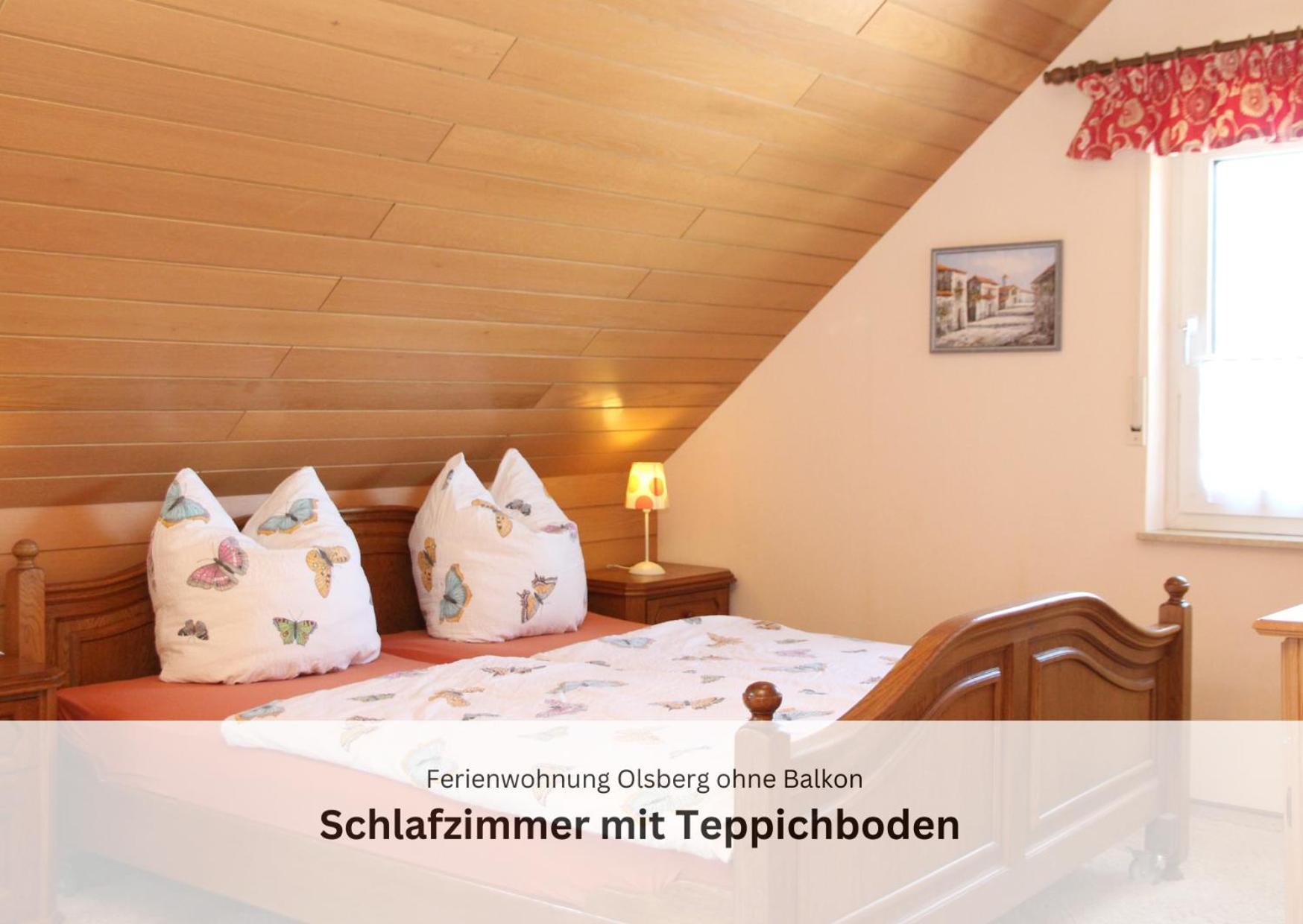 Ferienwohnungen Sauerland Und Olsberg Esterno foto