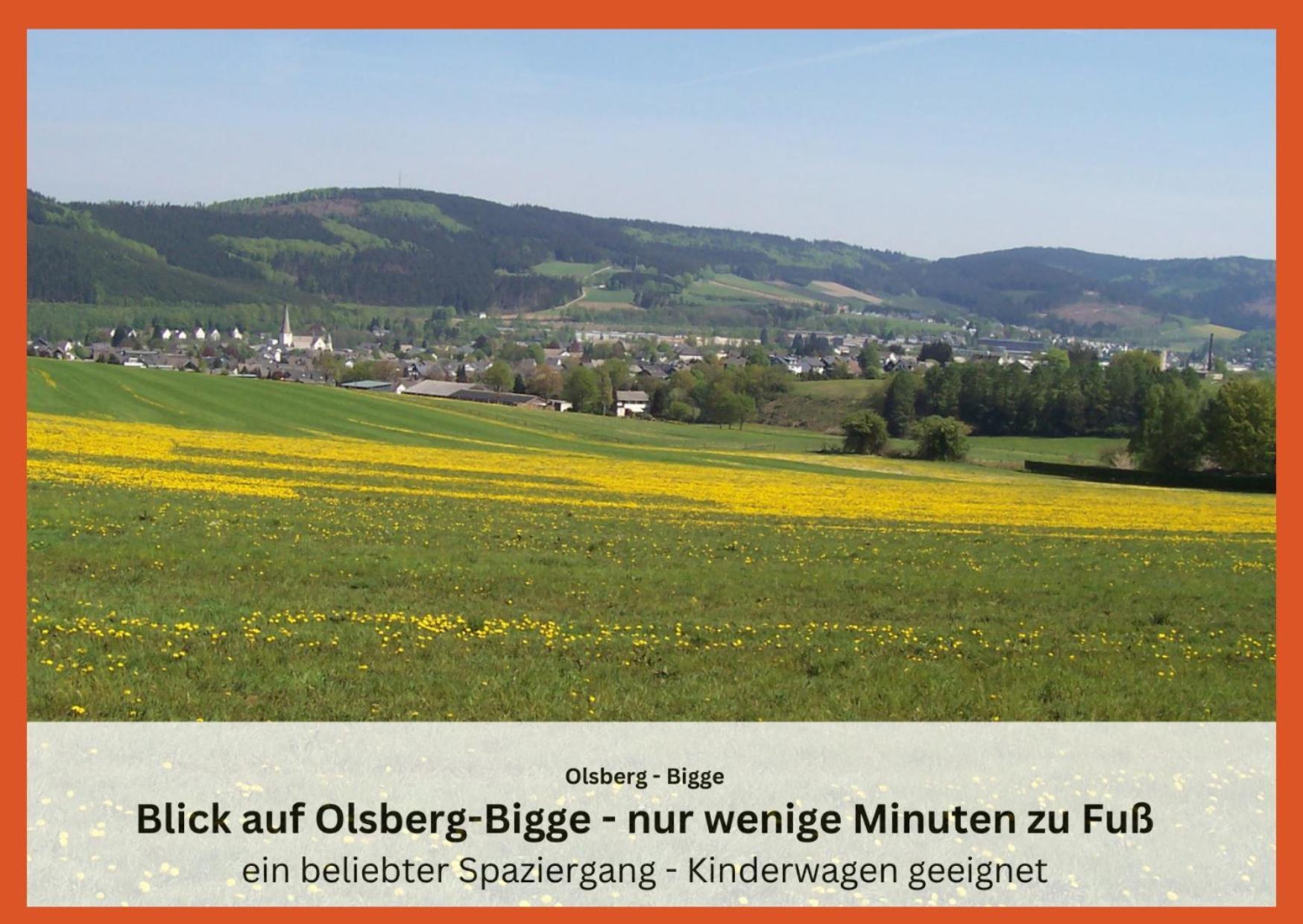 Ferienwohnungen Sauerland Und Olsberg Esterno foto