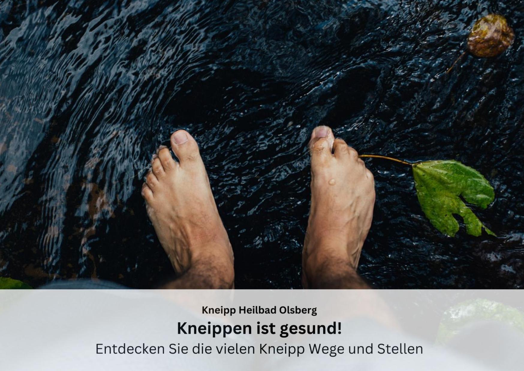 Ferienwohnungen Sauerland Und Olsberg Esterno foto