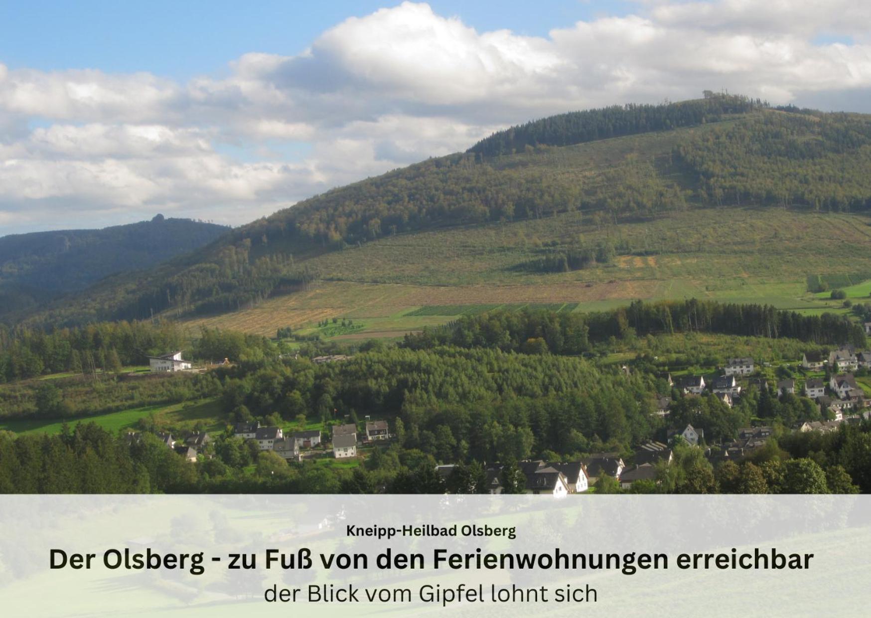 Ferienwohnungen Sauerland Und Olsberg Esterno foto