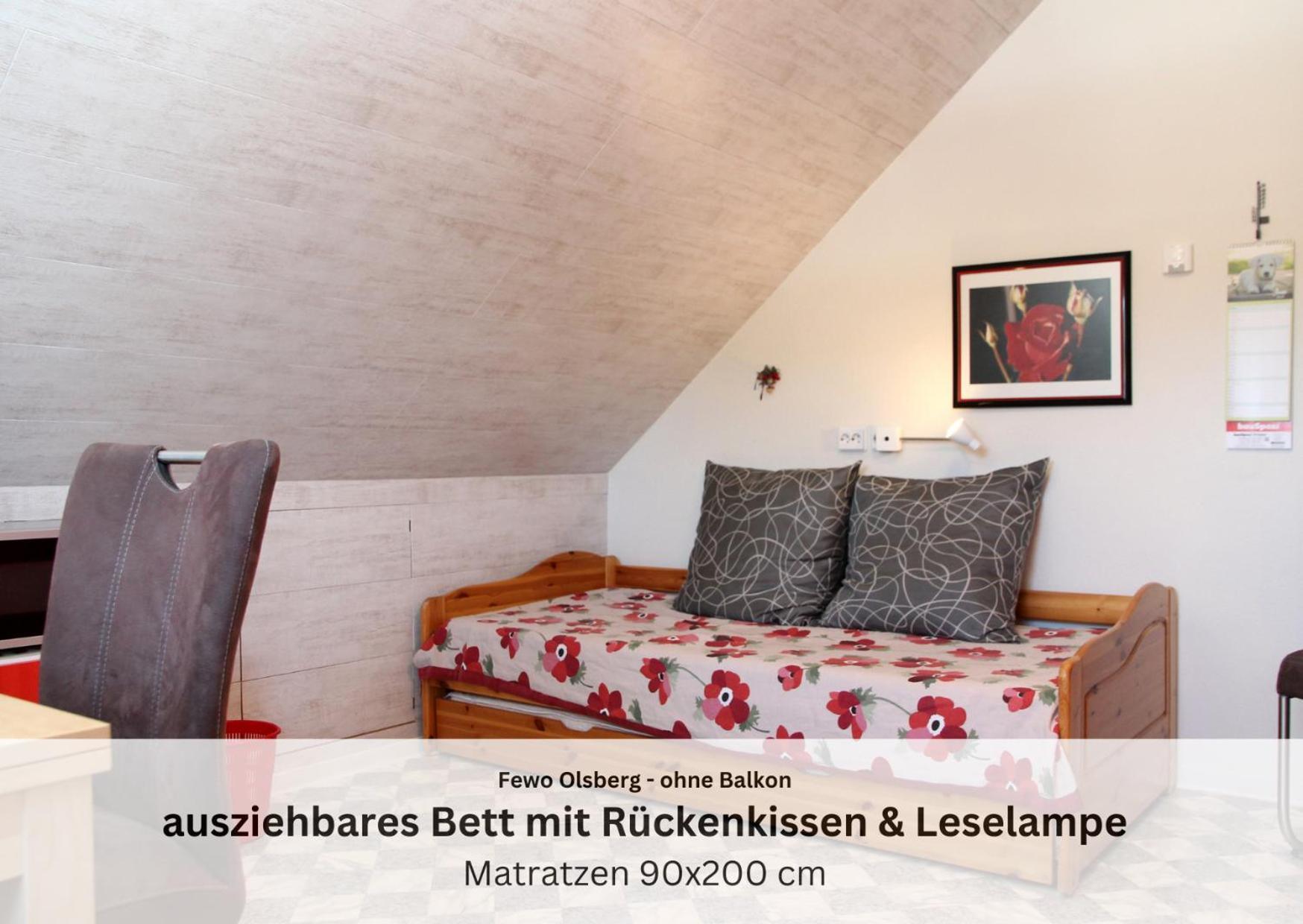 Ferienwohnungen Sauerland Und Olsberg Esterno foto