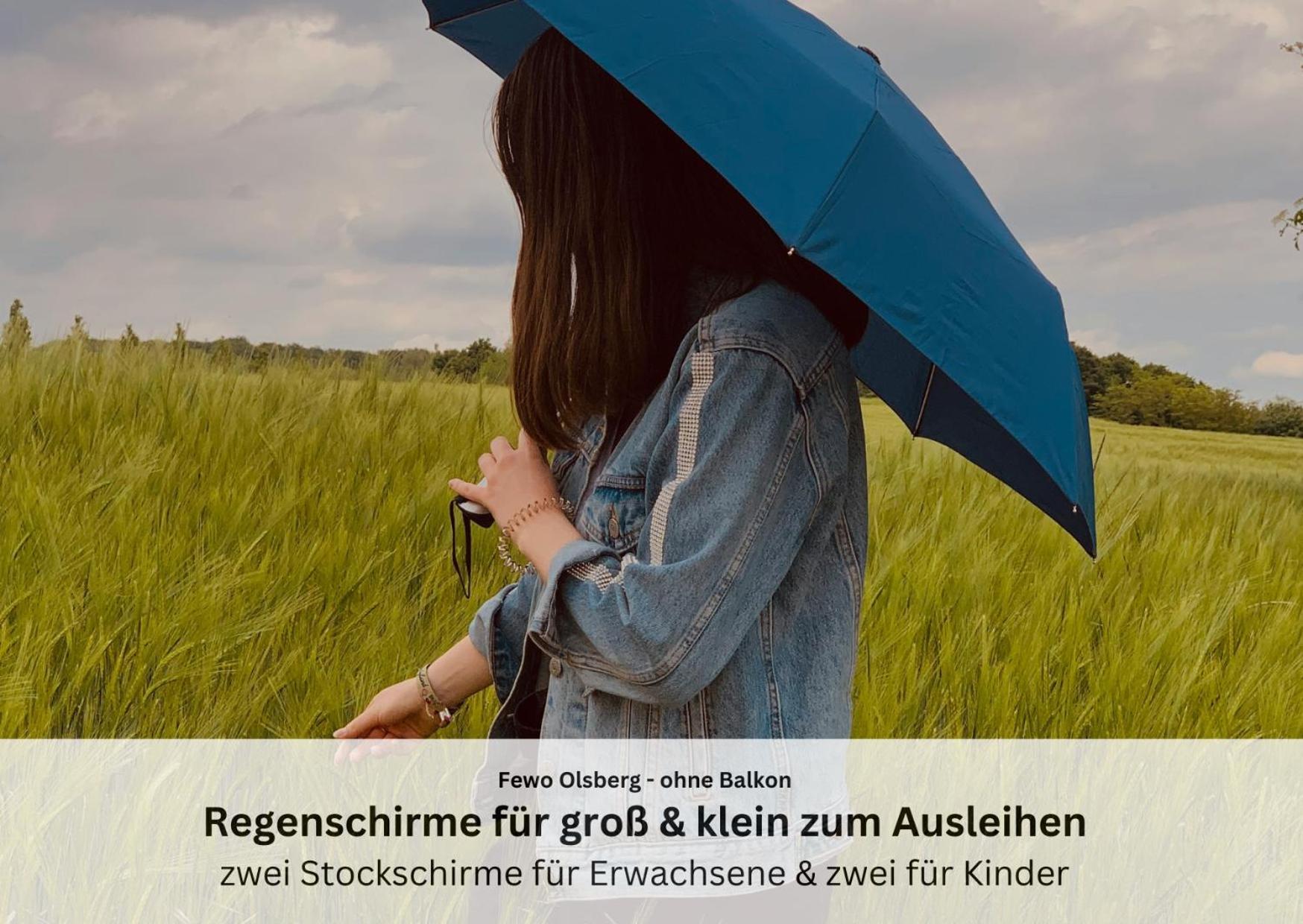 Ferienwohnungen Sauerland Und Olsberg Esterno foto