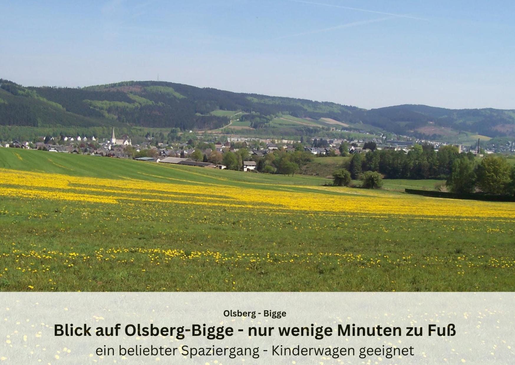 Ferienwohnungen Sauerland Und Olsberg Esterno foto