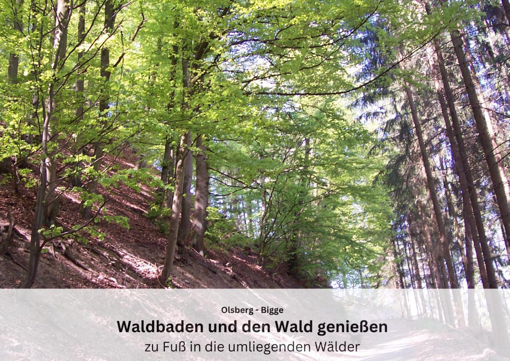 Ferienwohnungen Sauerland Und Olsberg Esterno foto